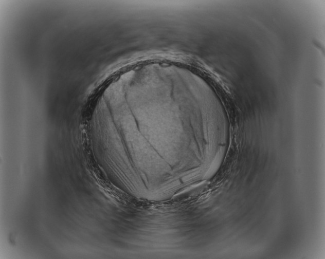 X0000097831496200804041410