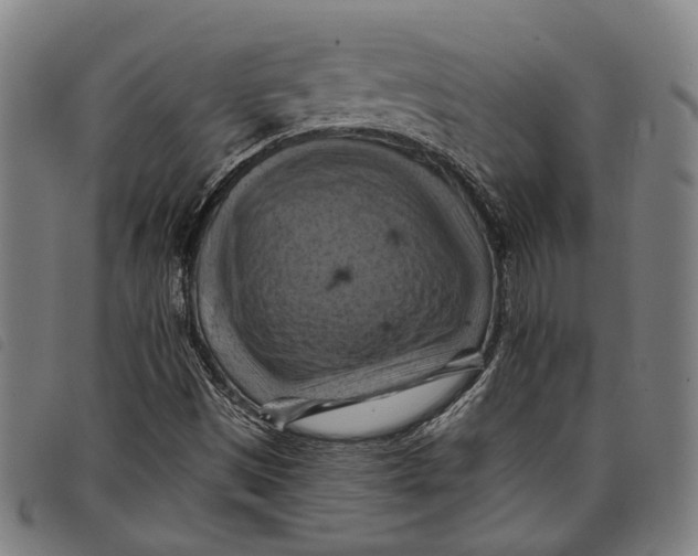 X0000097831497200804041410