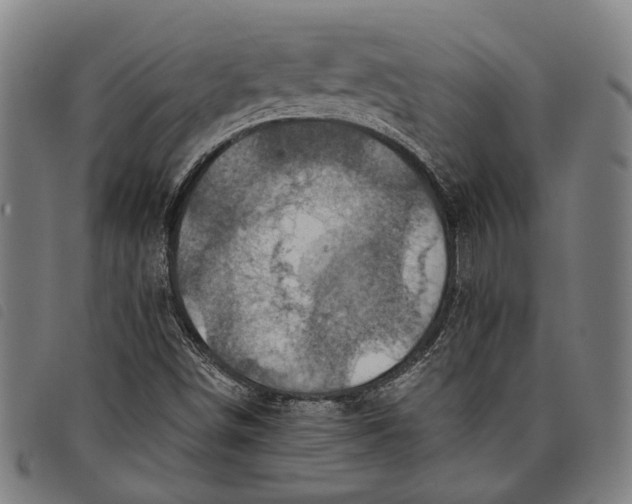 X0000097831498200804041410