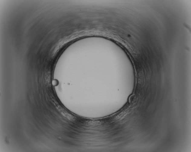 X0000097831499200804041410