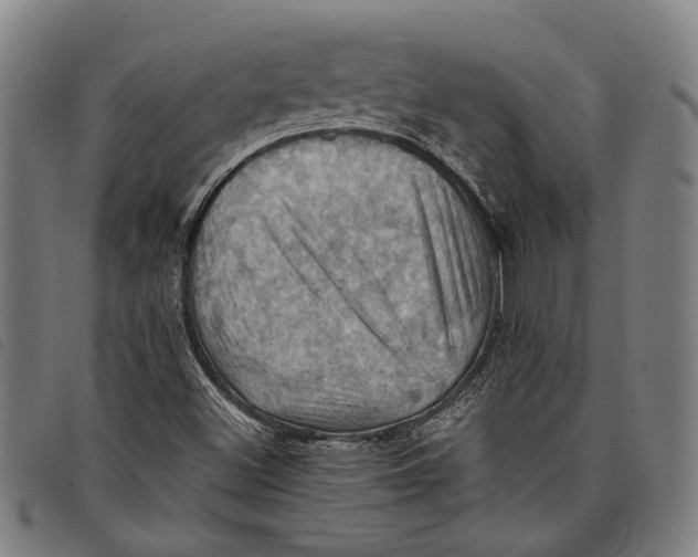 X0000097831500200804041410