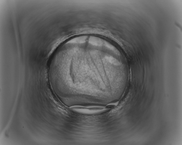 X0000097831501200804041410