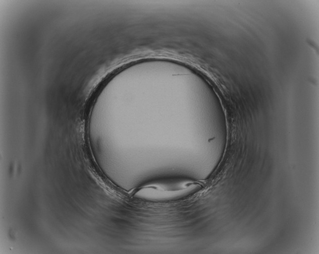 X0000097831503200804041410