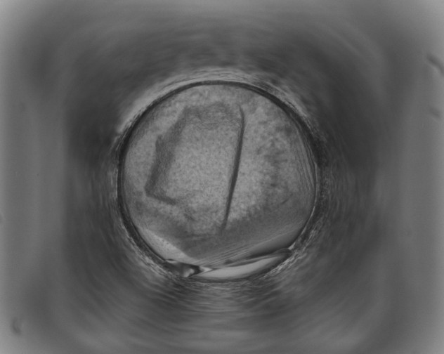 X0000097831504200804041410