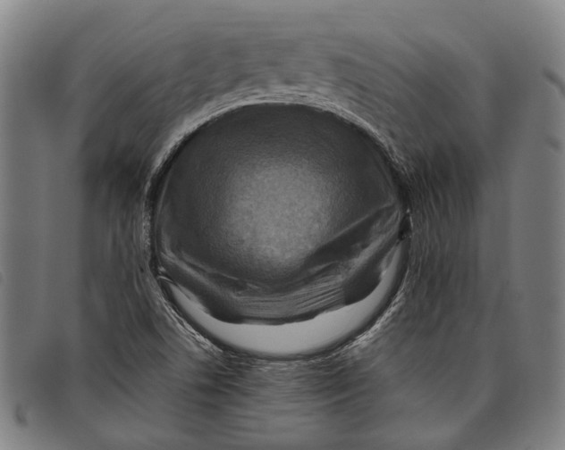 X0000097831506200804041410