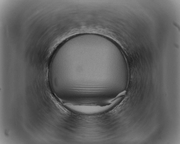 X0000097831507200804041410