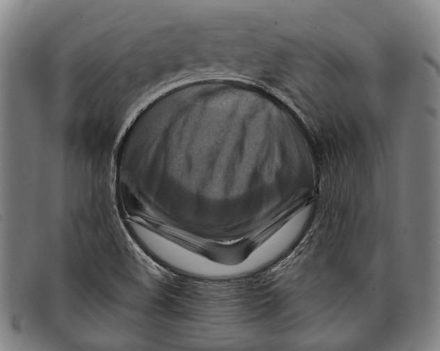 X0000097831508200804041410