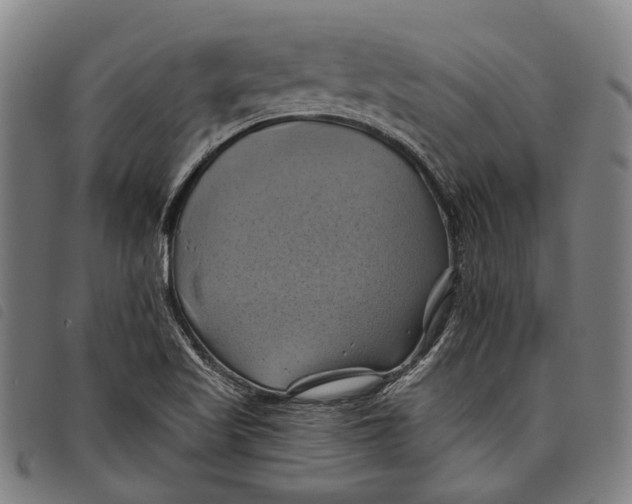 X0000097831509200804041410