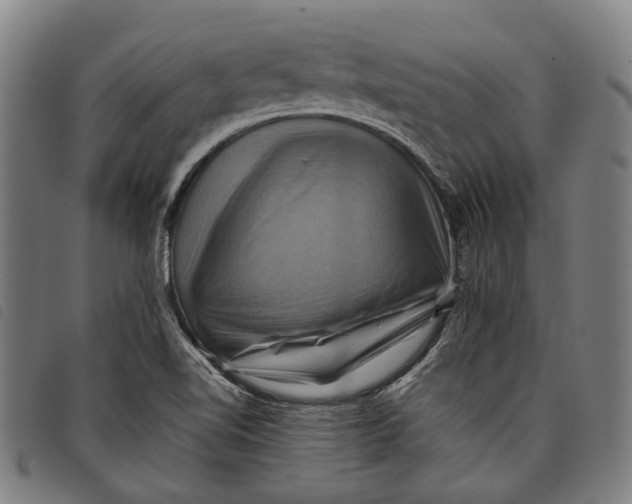 X0000097831510200804041410