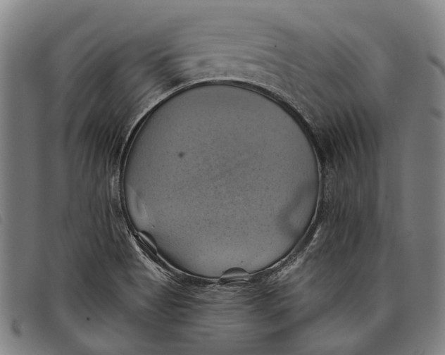 X0000097831513200804041410