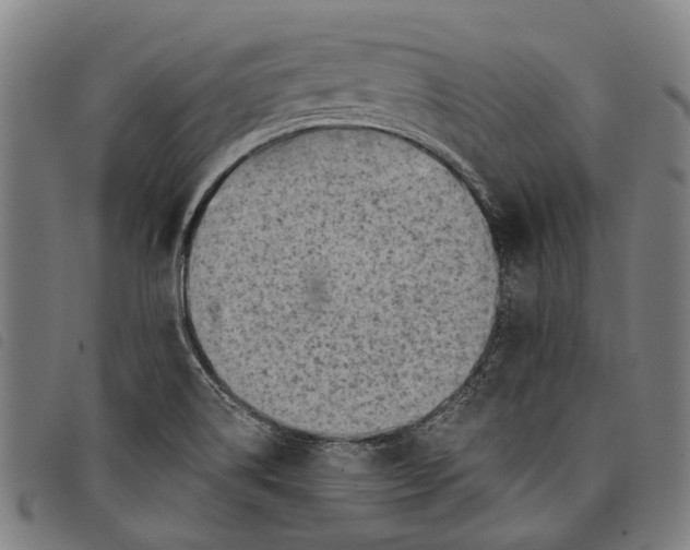 X0000097831514200804041410