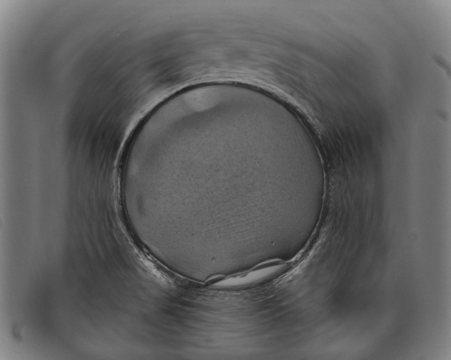 X0000097831517200804041410