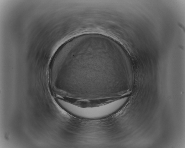 X0000097831519200804041410