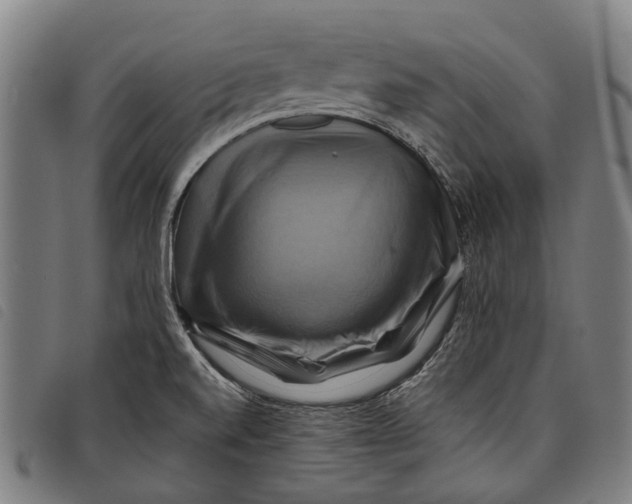 X0000097831520200804041410