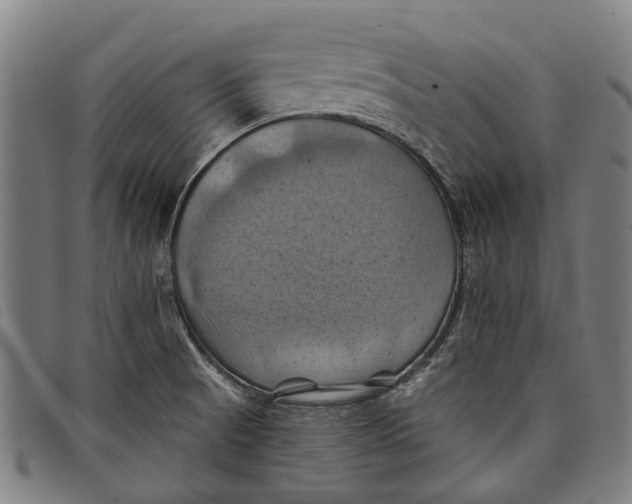 X0000097831521200804041410