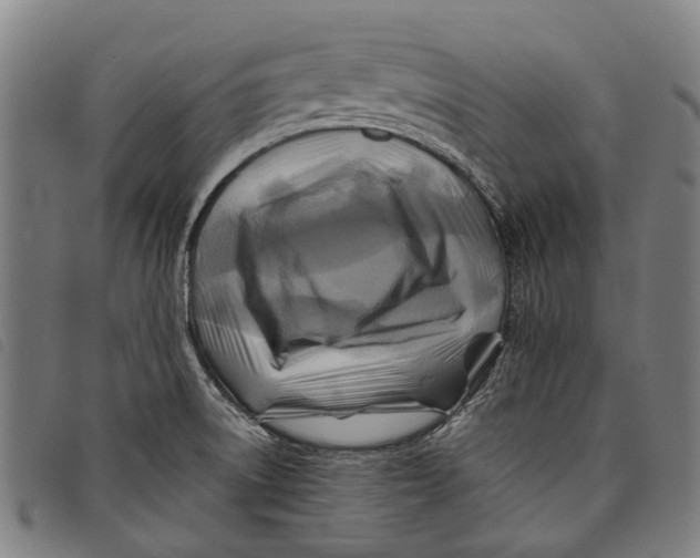 X0000097831522200804041410