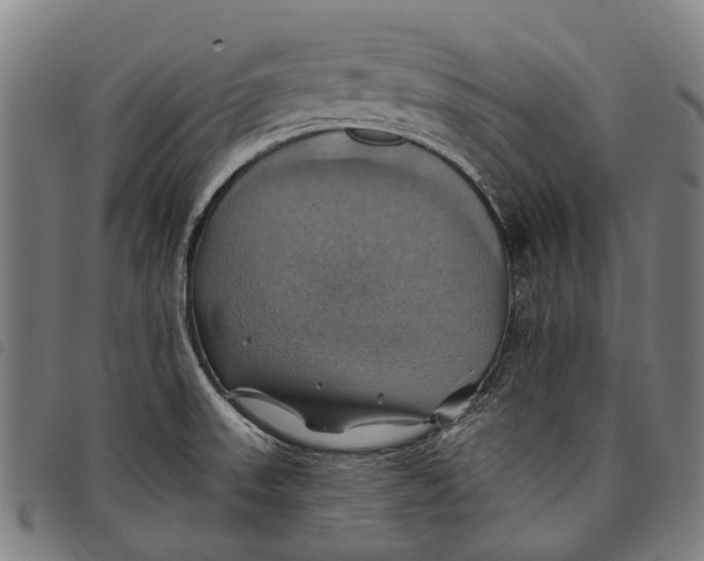 X0000097831523200804041410