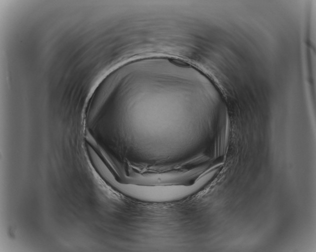 X0000097831524200804041410