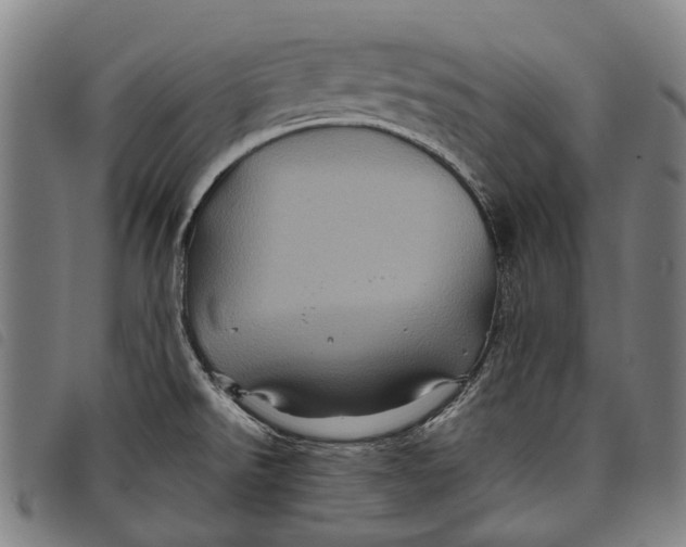 X0000097831526200804041410