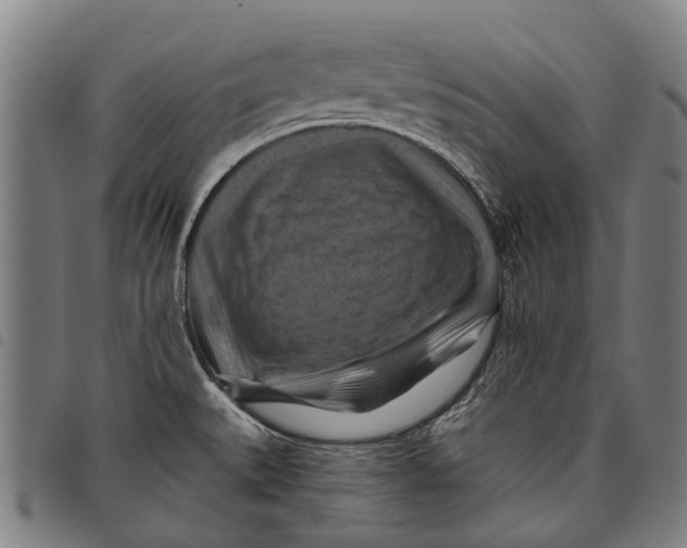 X0000097831527200804041410