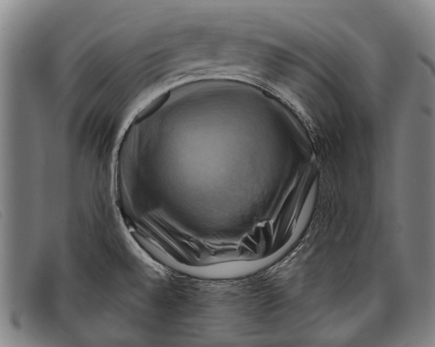 X0000097831528200804041410