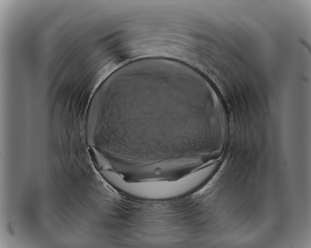 X0000097831529200804041410