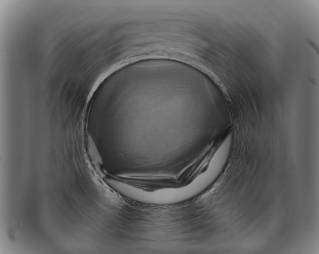 X0000097831530200804041410