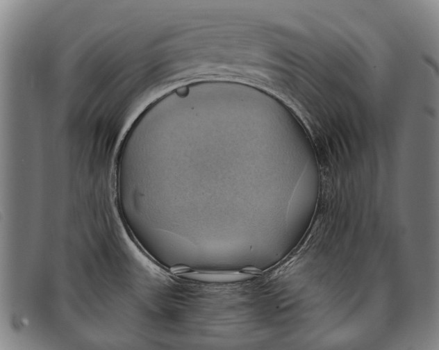 X0000097831531200804041410