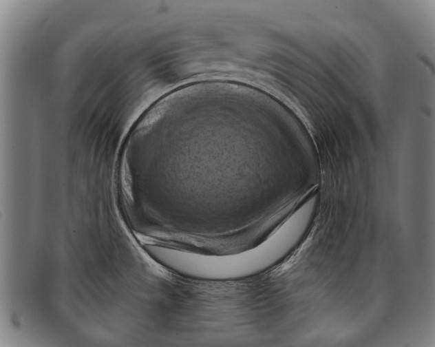 X0000097831533200804041410