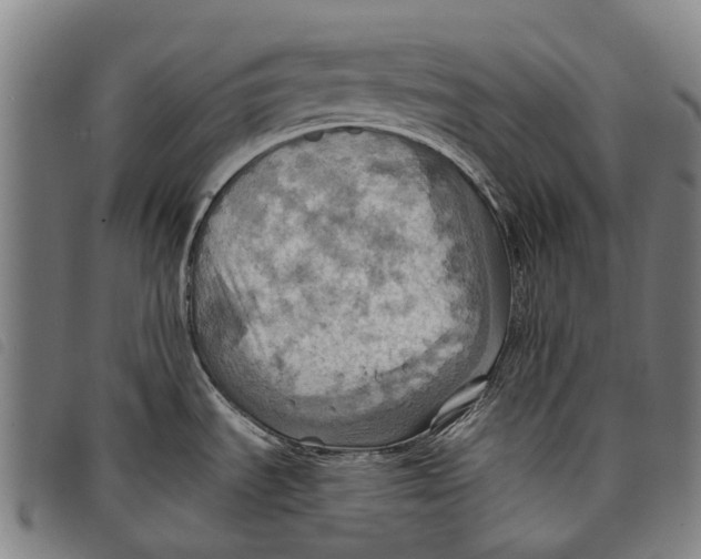 X0000097831535200804041410