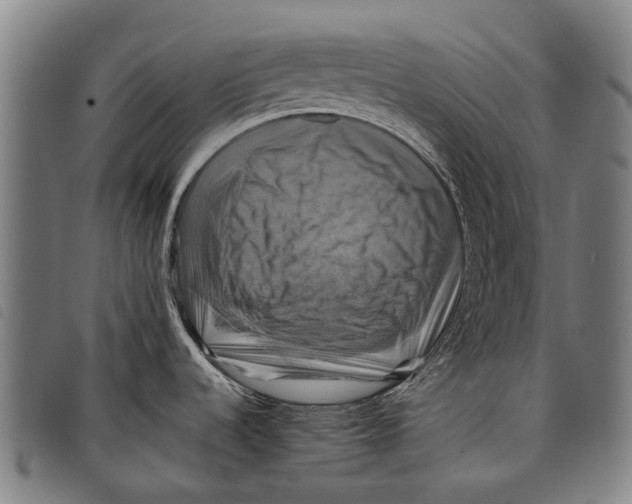 X0000097831536200804041410