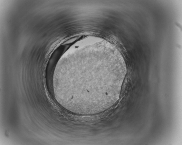 X0000097830001200804111050