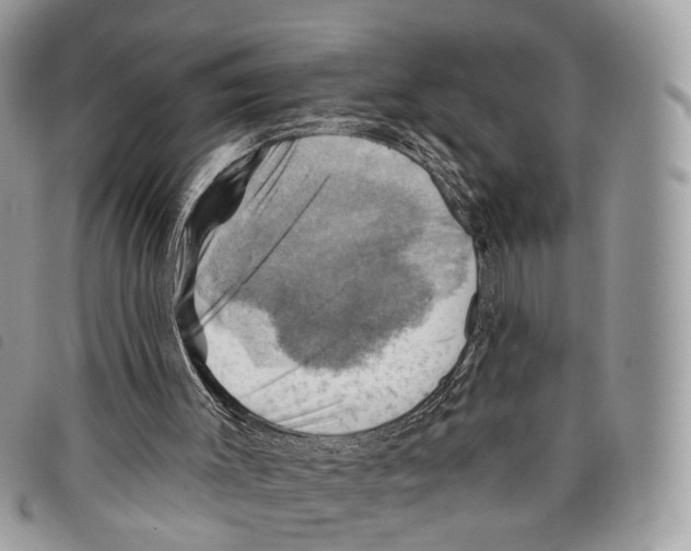 X0000097830003200804111050