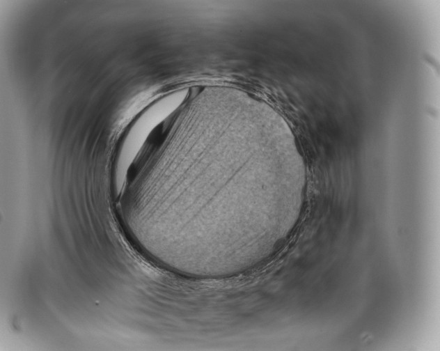 X0000097830005200804111050