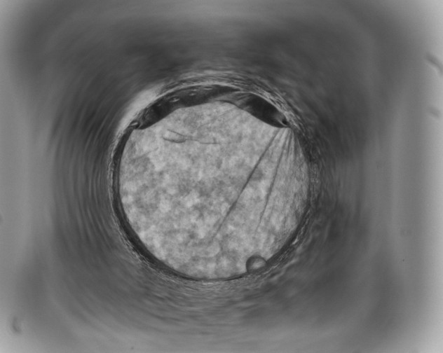 X0000097830006200804111050