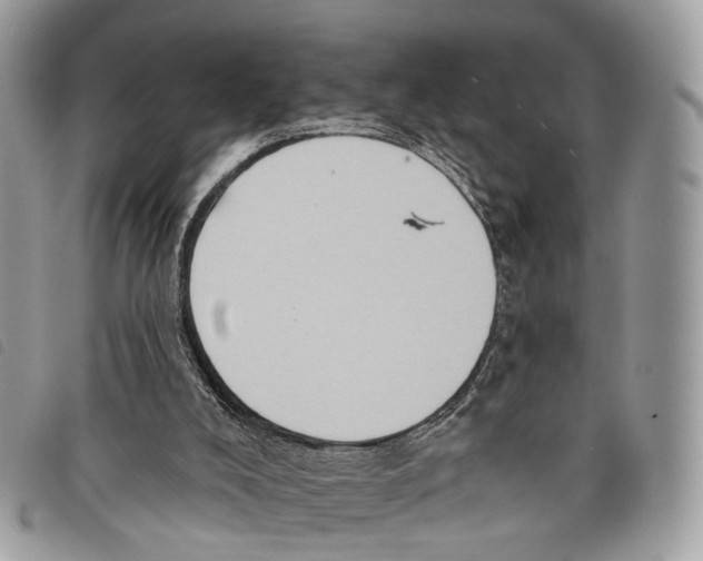 X0000097830008200804111050