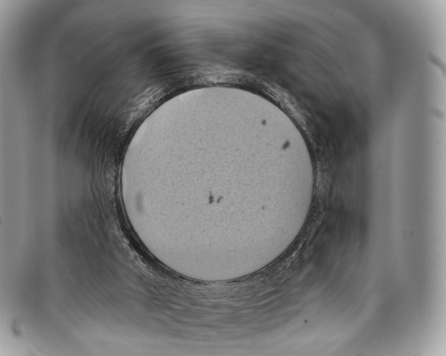 X0000097830010200804111050