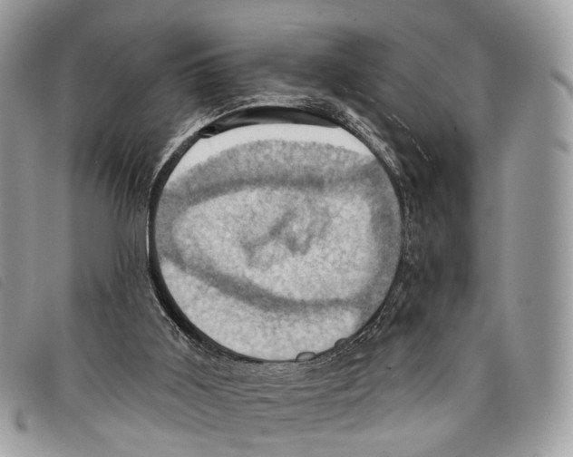 X0000097830011200804111050