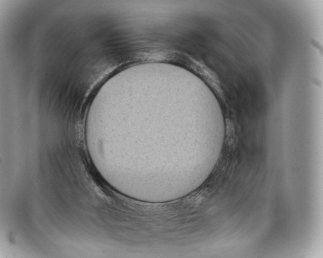 X0000097830012200804111050