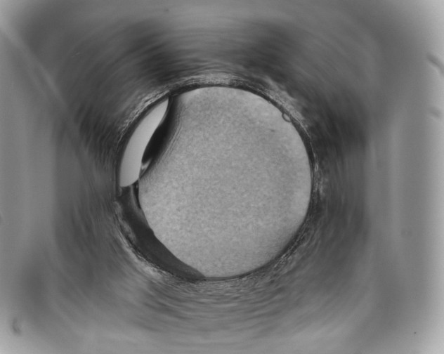 X0000097830013200804111050