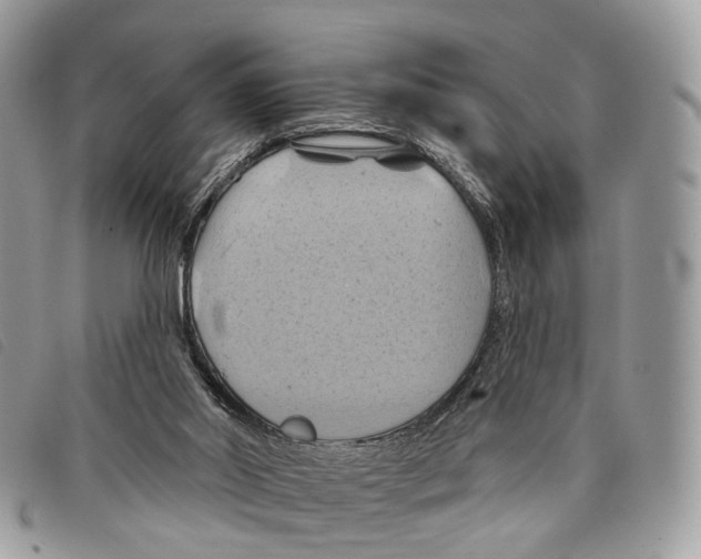 X0000097830014200804111050