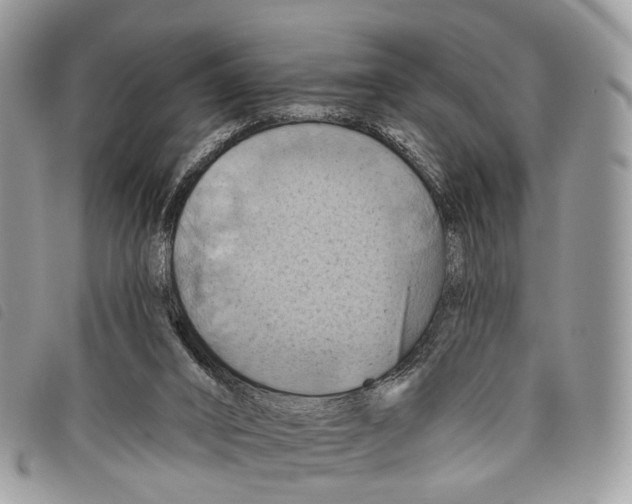 X0000097830016200804111050