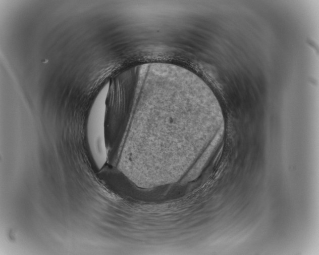 X0000097830017200804111050