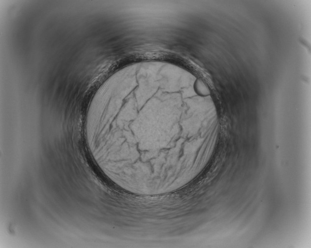 X0000097830018200804111050