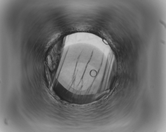 X0000097830019200804111050