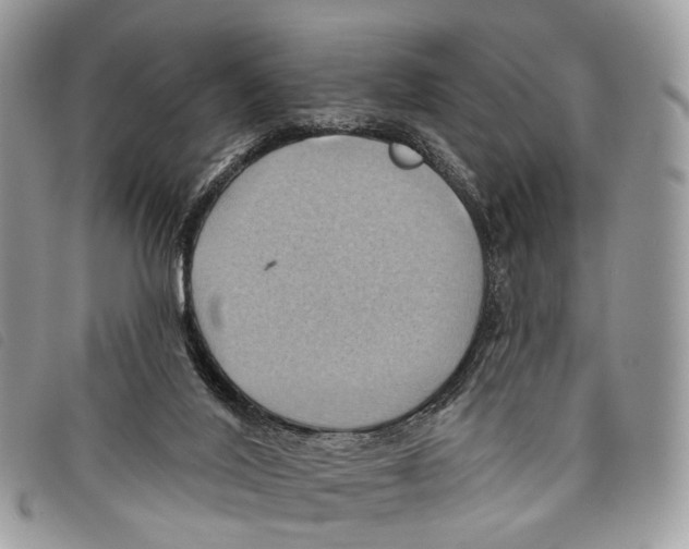 X0000097830020200804111050