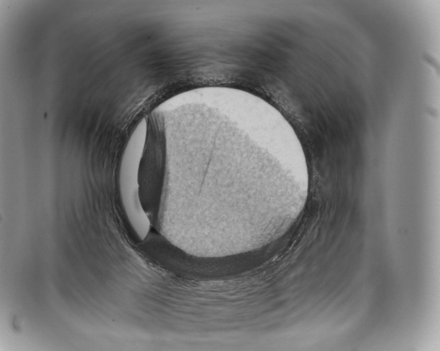 X0000097830021200804111050