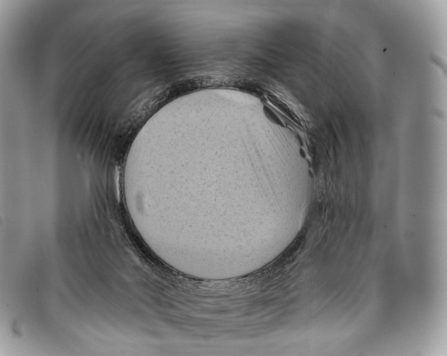 X0000097830022200804111050