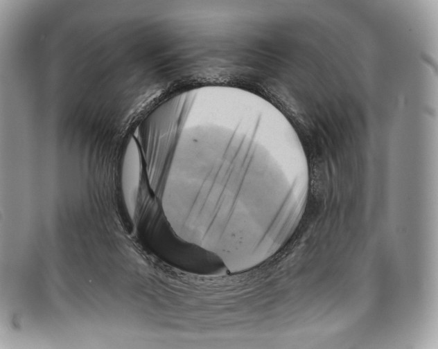 X0000097830023200804111050