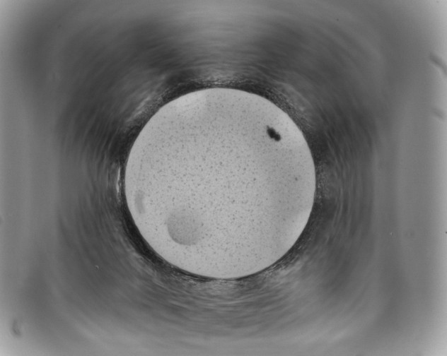 X0000097830024200804111050